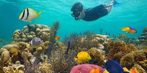 snorkling-lovina-3