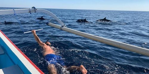 swim-with-dolphin