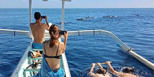 swim-with-dolphin3